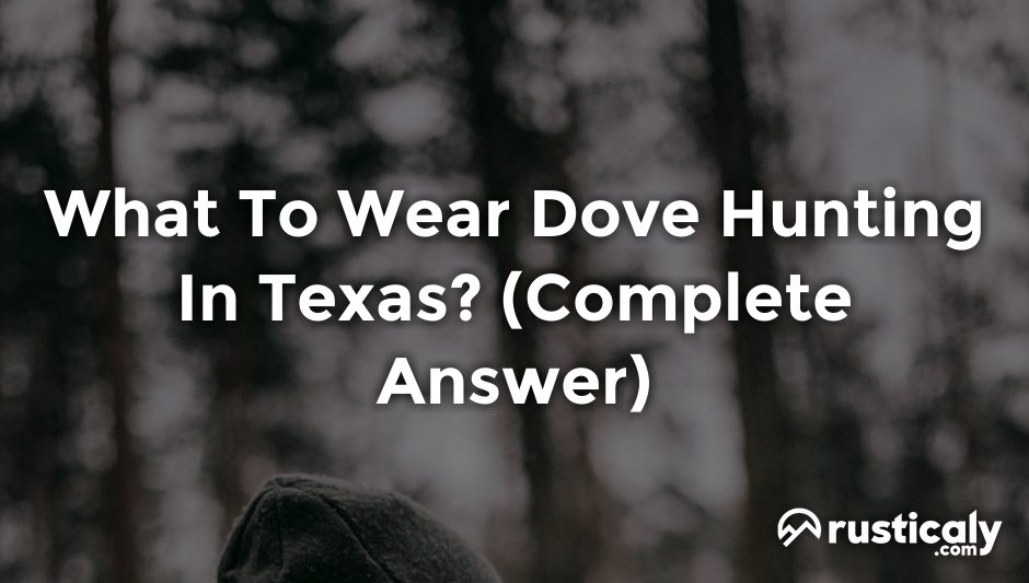 what to wear dove hunting in texas