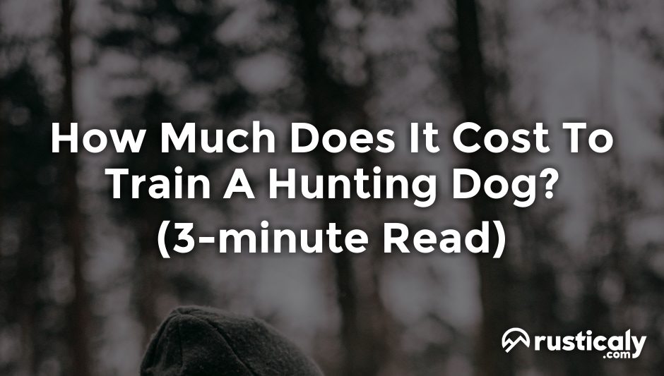 how much does it cost to train a hunting dog
