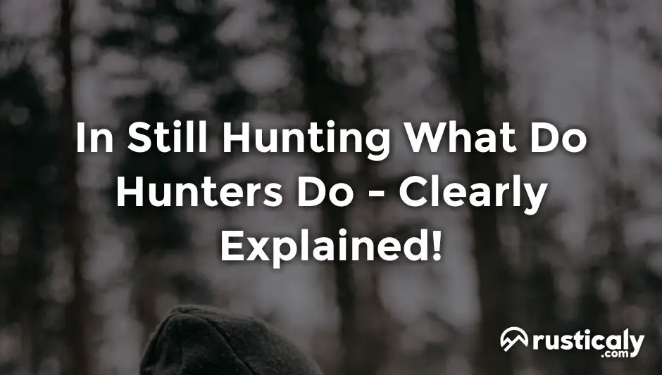 in still hunting what do hunters do