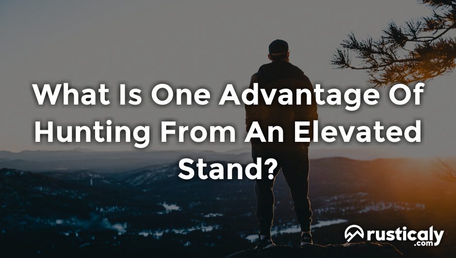 what is one advantage of hunting from an elevated stand
