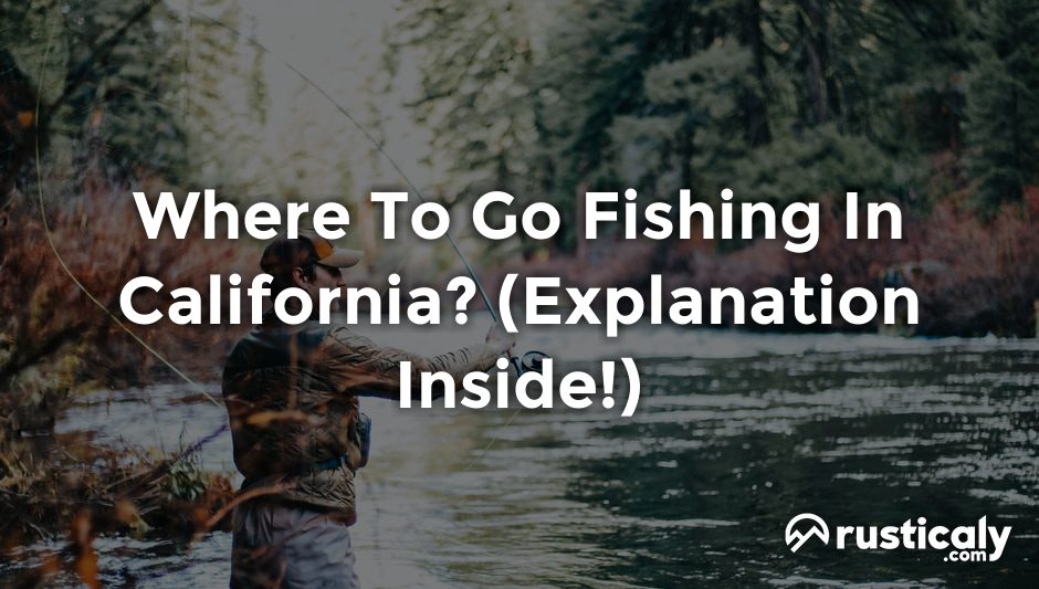 where to go fishing in california