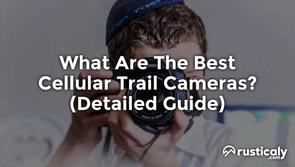 what are the best cellular trail cameras