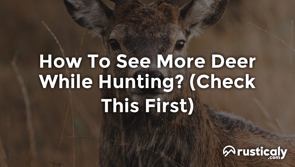 how to see more deer while hunting