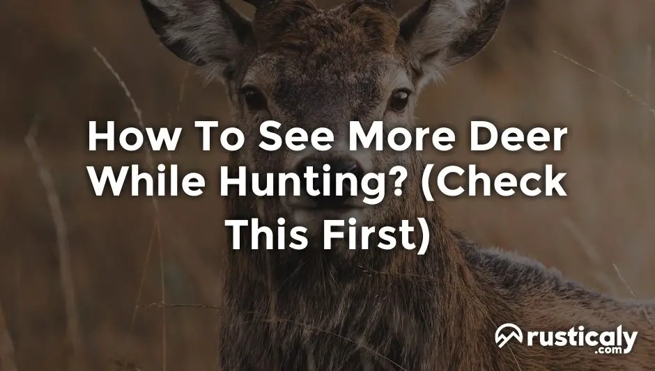 how to see more deer while hunting