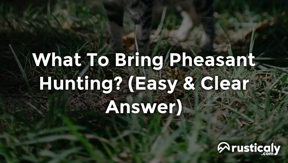what to bring pheasant hunting
