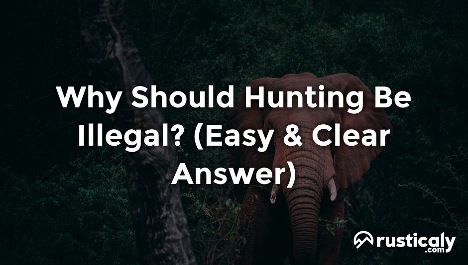 why should hunting be illegal