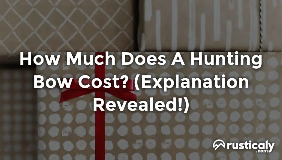 How Much Does A Hunting Bow Cost? (Explanation Inside!)