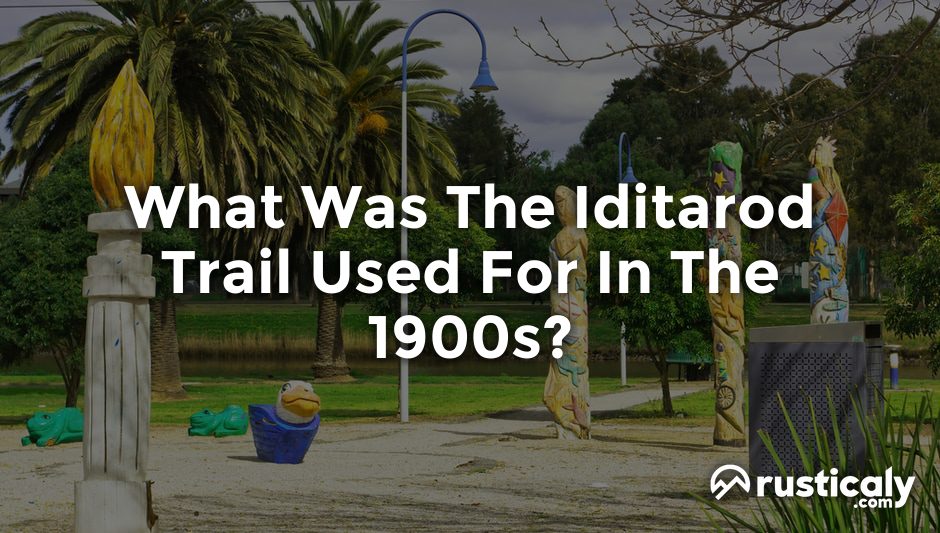 what was the iditarod trail used for in the 1900s