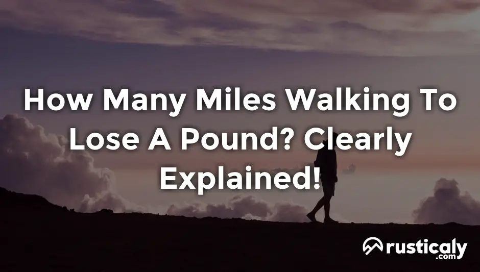how many miles walking to lose a pound