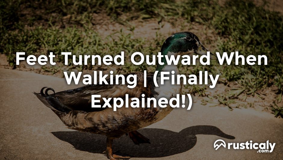 feet turned outward when walking