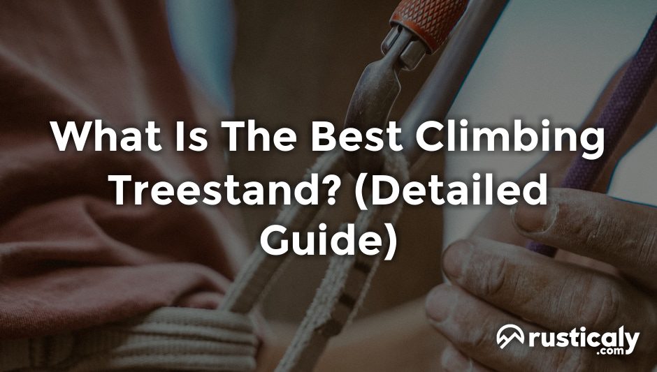 what is the best climbing treestand