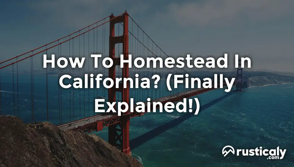 how to homestead in california