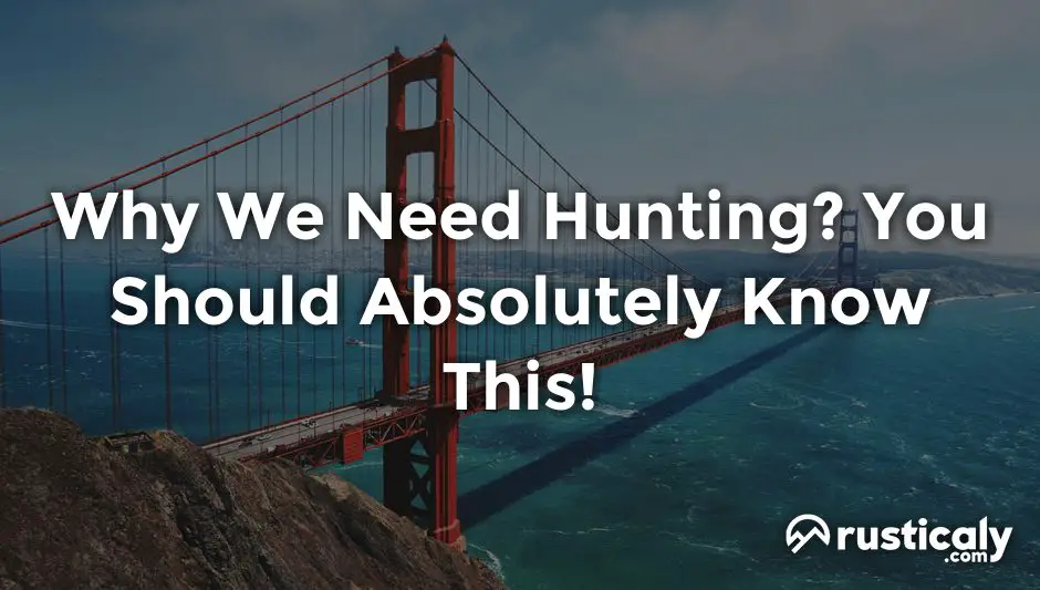 why we need hunting