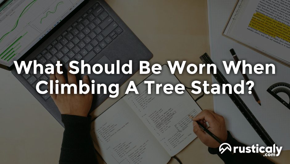 what should be worn when climbing a tree stand