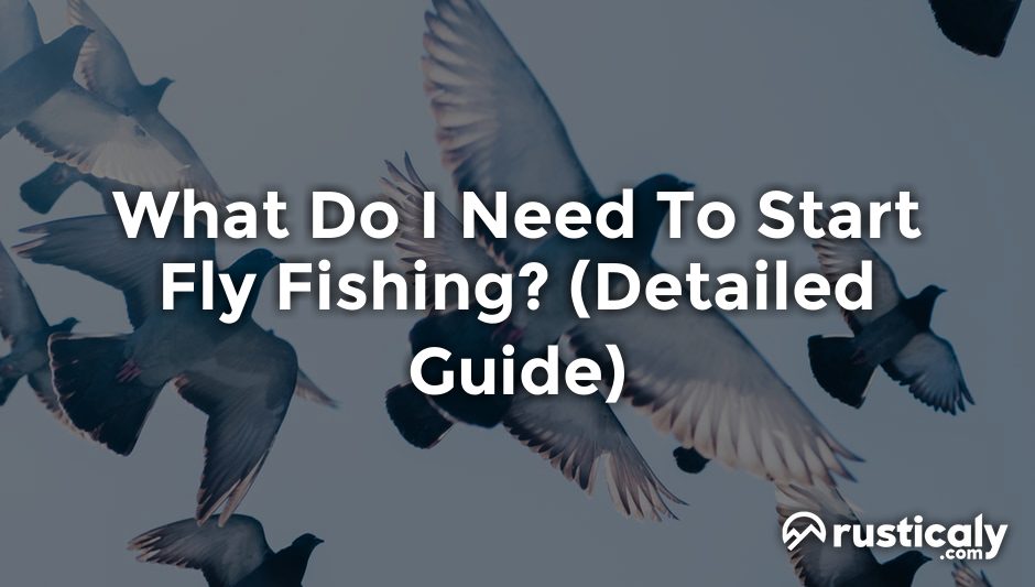 what do i need to start fly fishing