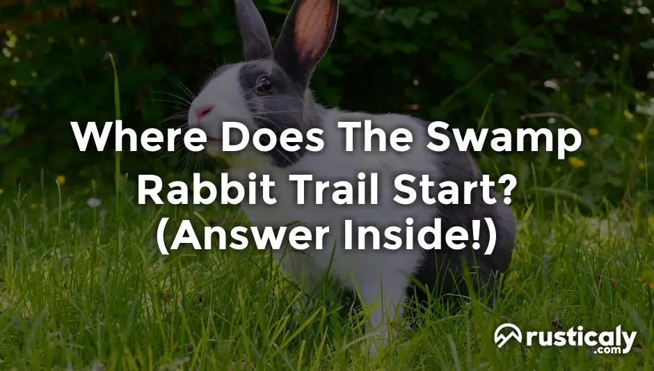 where does the swamp rabbit trail start