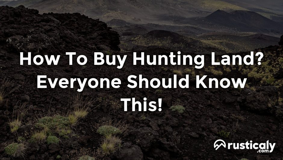 how to buy hunting land