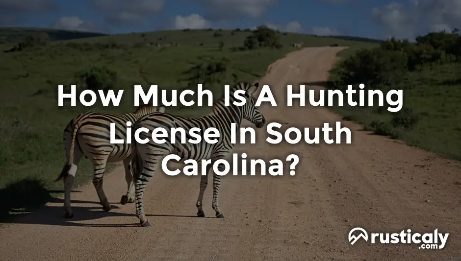 how much is a hunting license in south carolina
