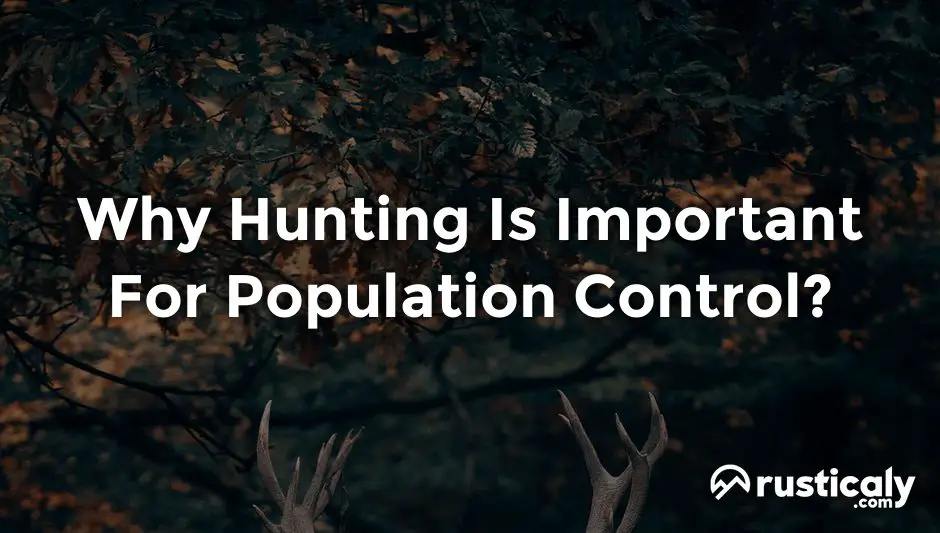 why hunting is important for population control