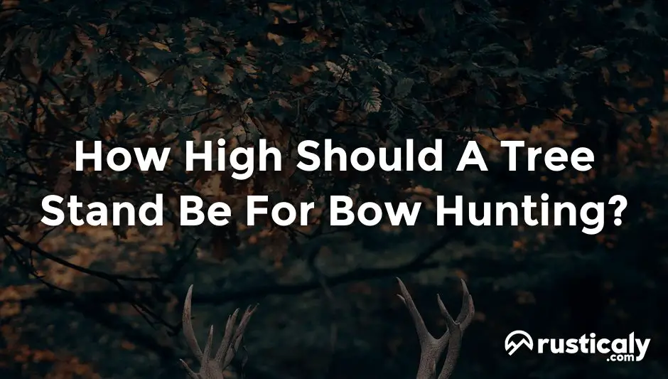 How High Should A Tree Stand Be For Bow Hunting?