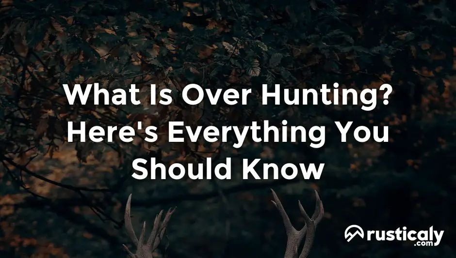 what is over hunting