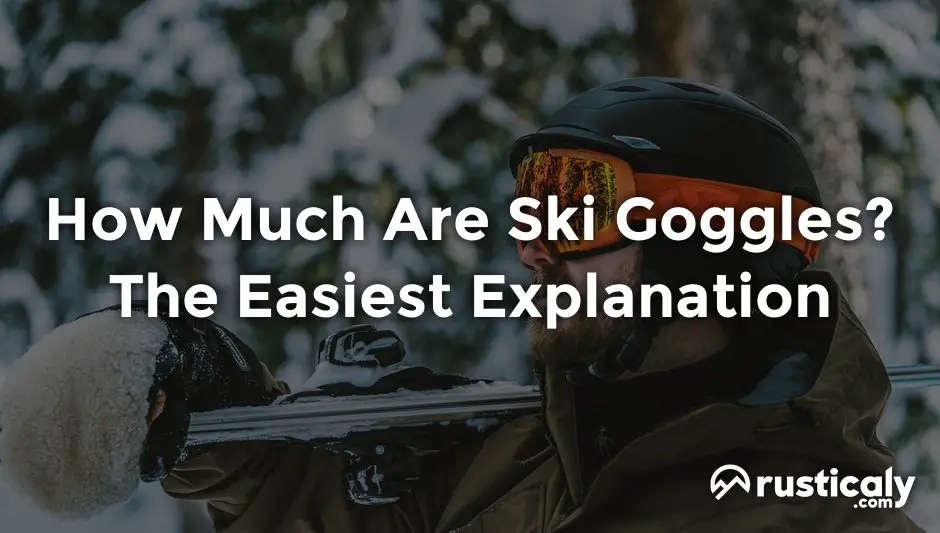 how much are ski goggles