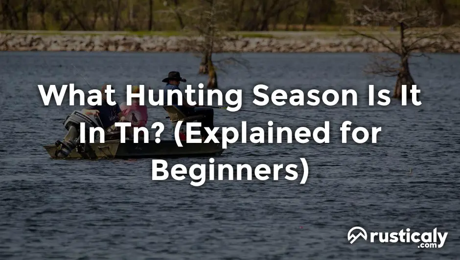 what hunting season is it in tn