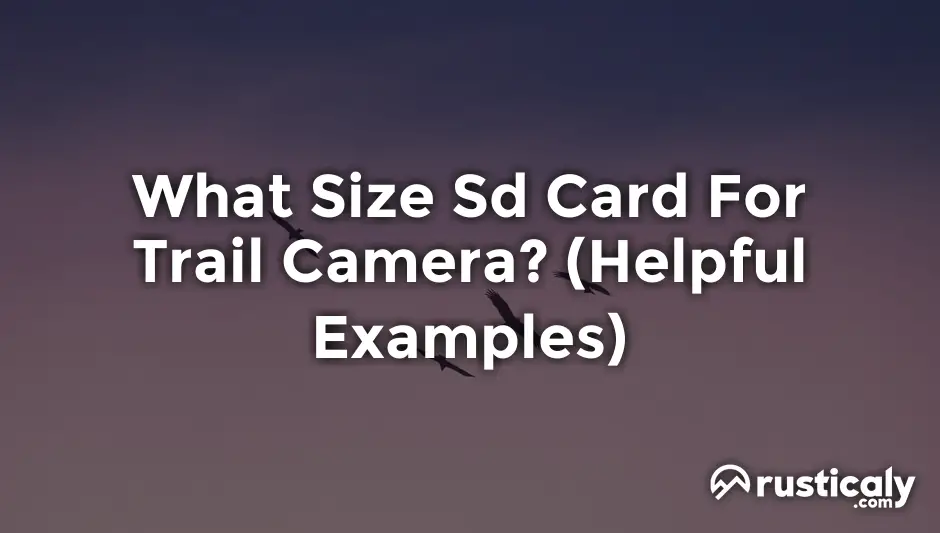 what size sd card for trail camera