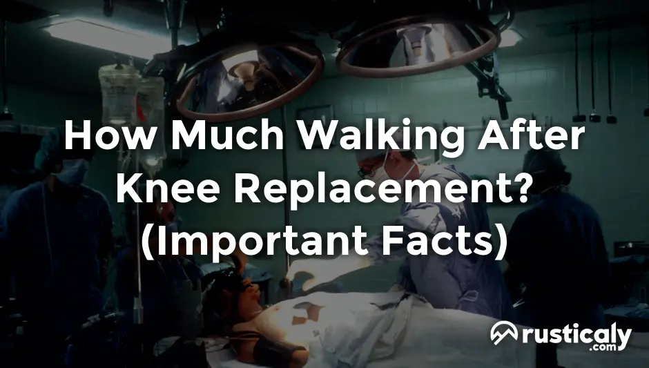 How much walking after knee replacement helpful examples 