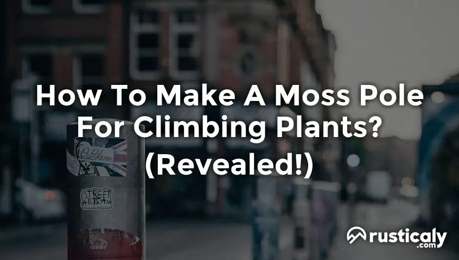 how to make a moss pole for climbing plants
