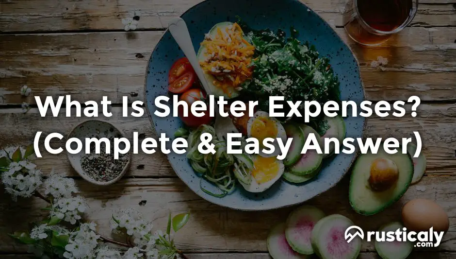 what is shelter expenses