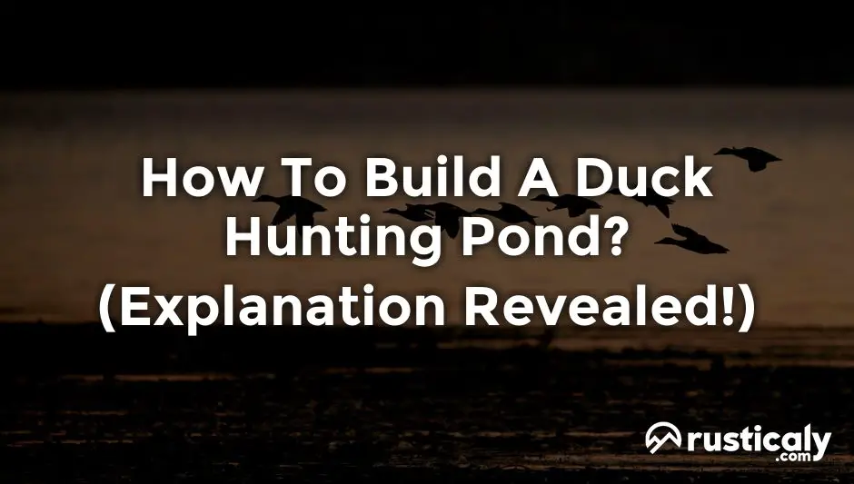 how to build a duck hunting pond