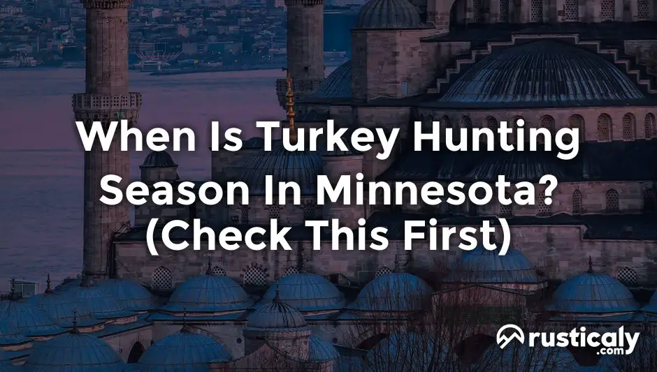 When Is Turkey Hunting Season In Minnesota? Finally Understand!