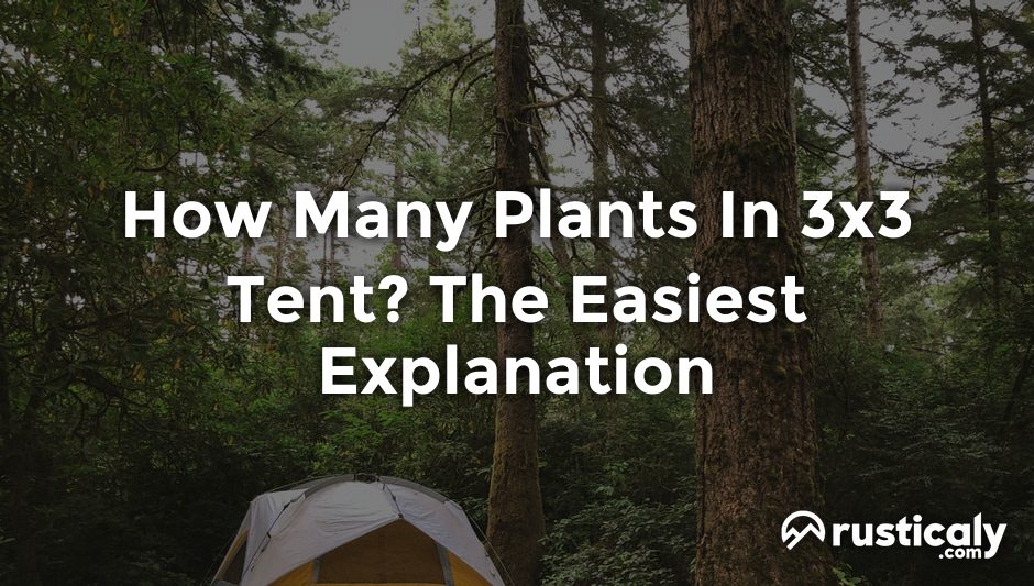 how many plants in 3x3 tent