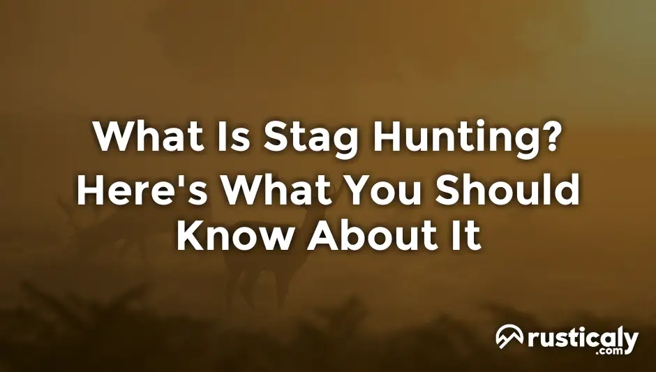 what is stag hunting