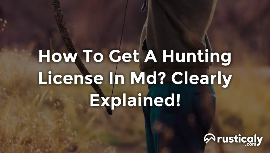 how to get a hunting license in md