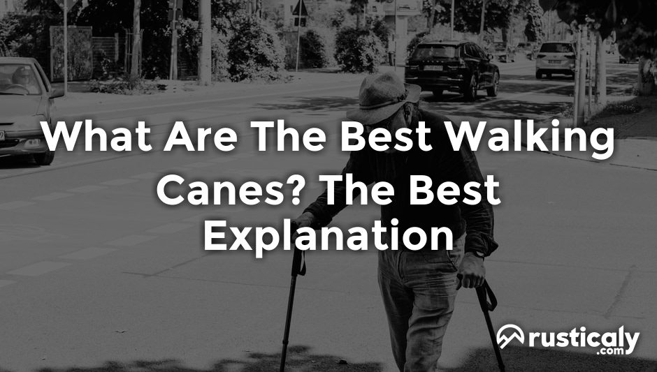 what are the best walking canes