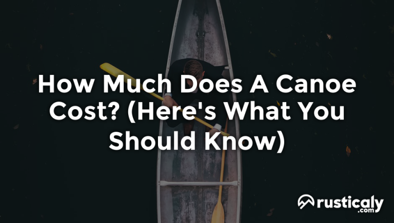 how much does a canoe cost