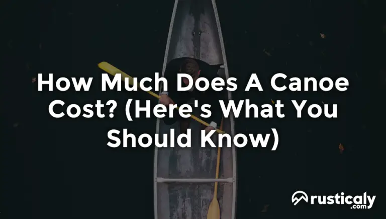 how much does a canoe cost