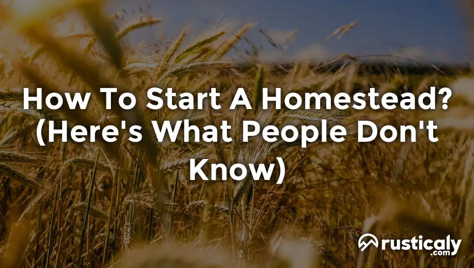 how to start a homestead