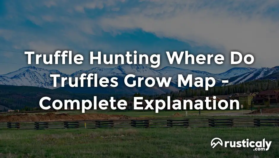 truffle hunting where do truffles grow map