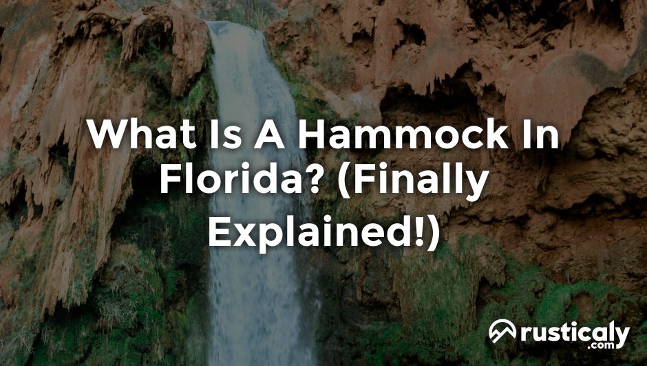 what is a hammock in florida