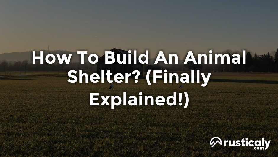 how to build an animal shelter