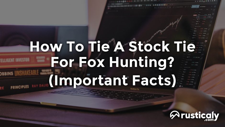 how to tie a stock tie for fox hunting