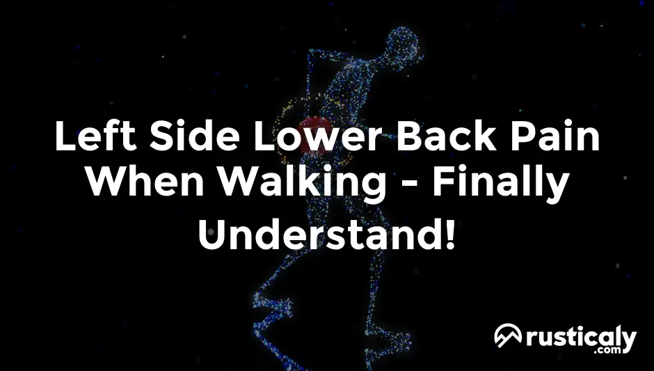 left side lower back pain when walking