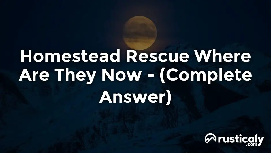 homestead rescue where are they now