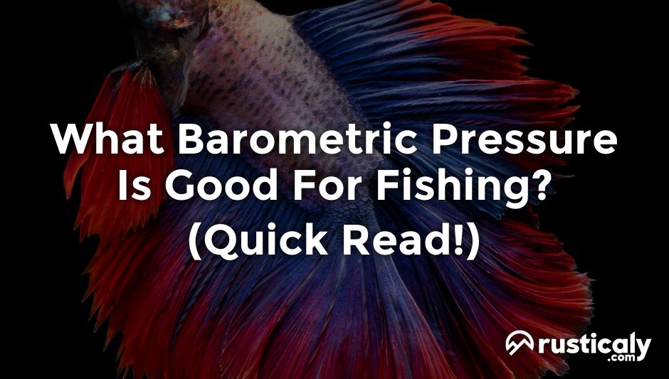 what barometric pressure is good for fishing