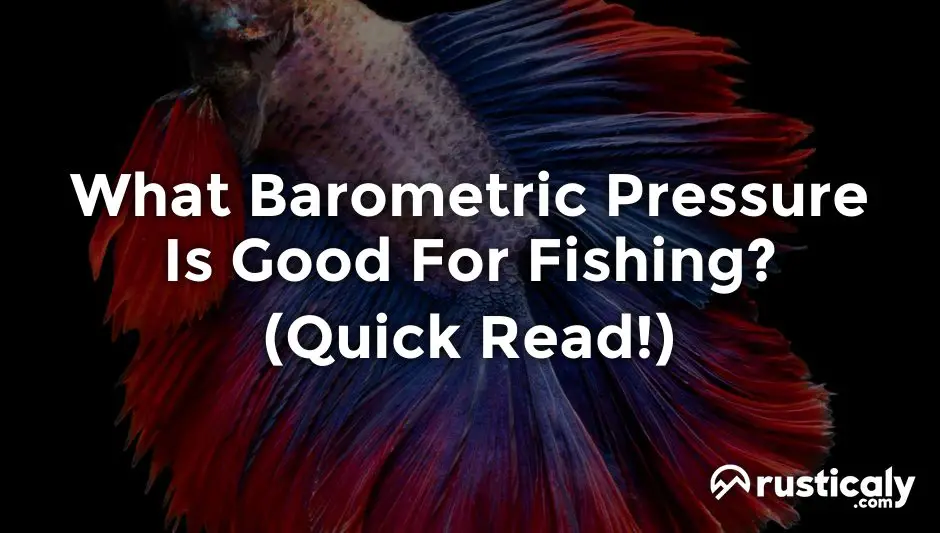 what barometric pressure is good for fishing