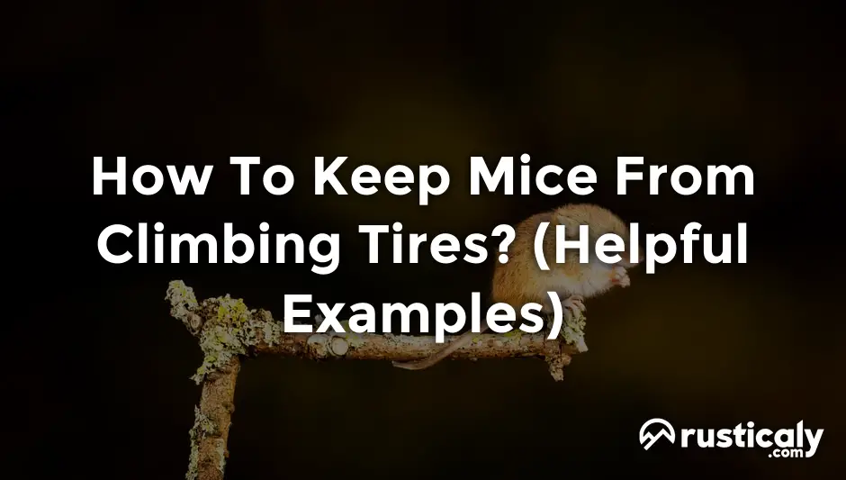 how to keep mice from climbing tires
