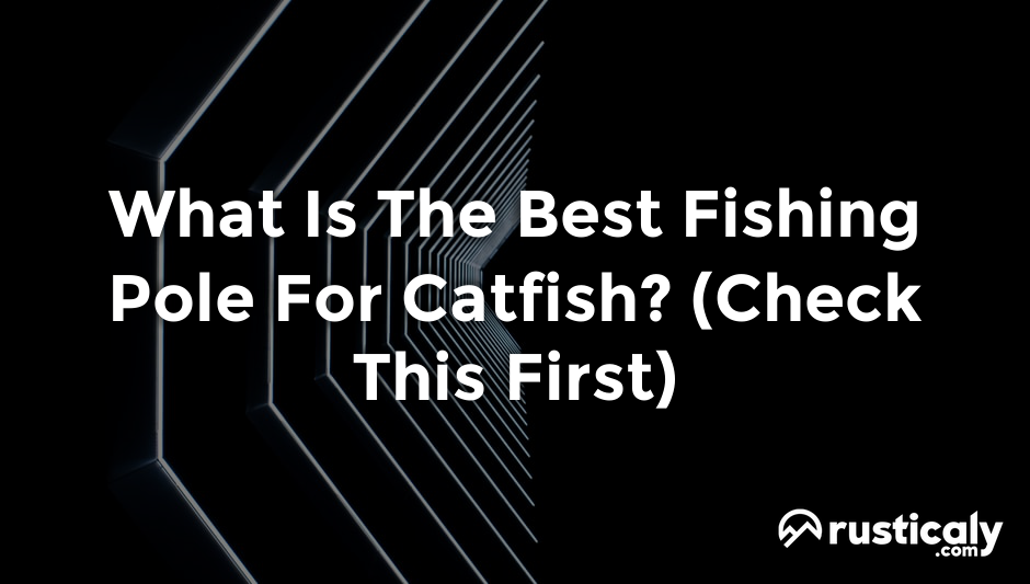 what is the best fishing pole for catfish